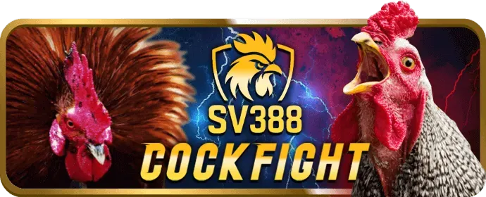 Hỗ trợ khách hàng và bảo mật bwin